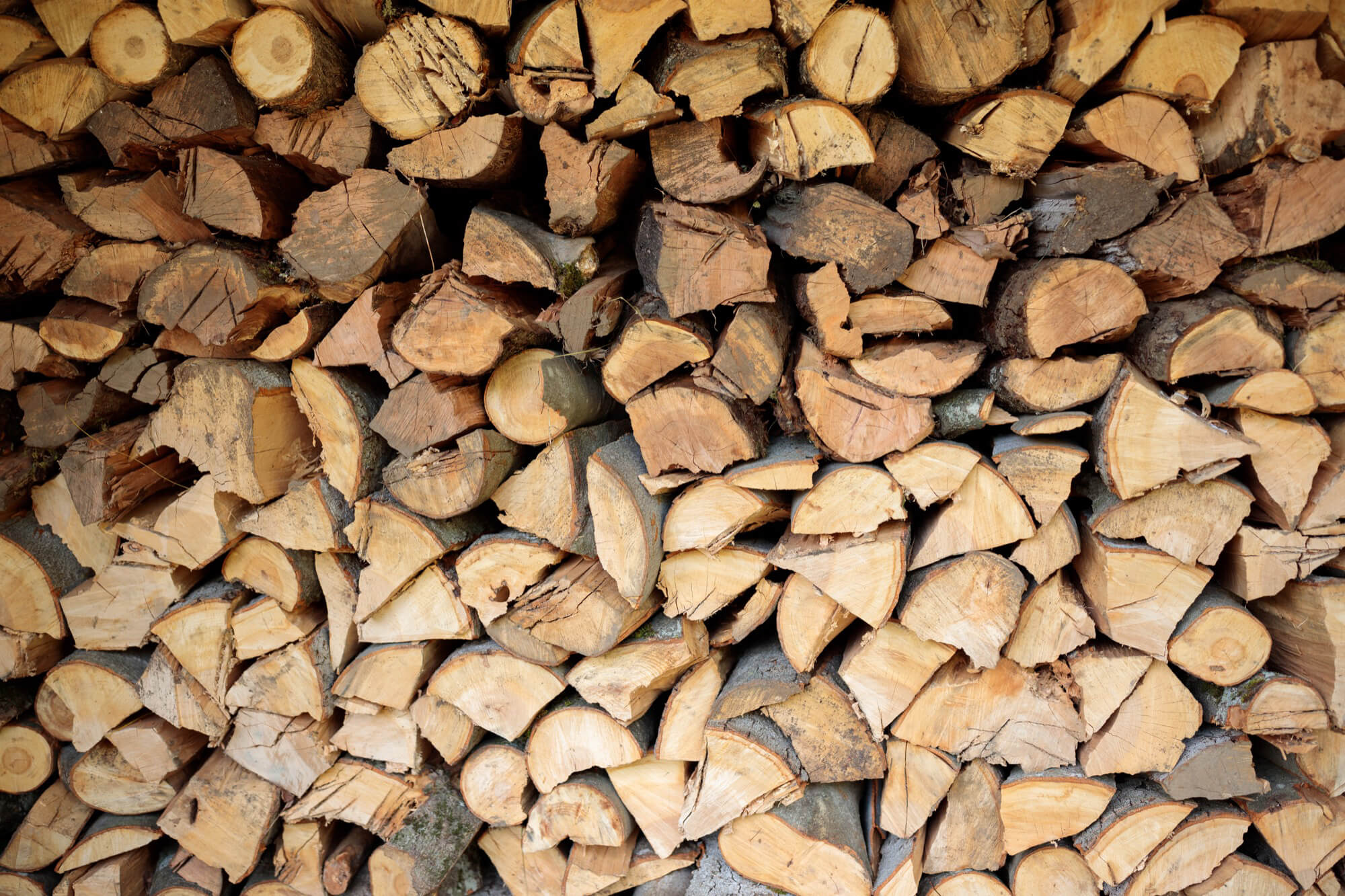 stack of chopped firewood