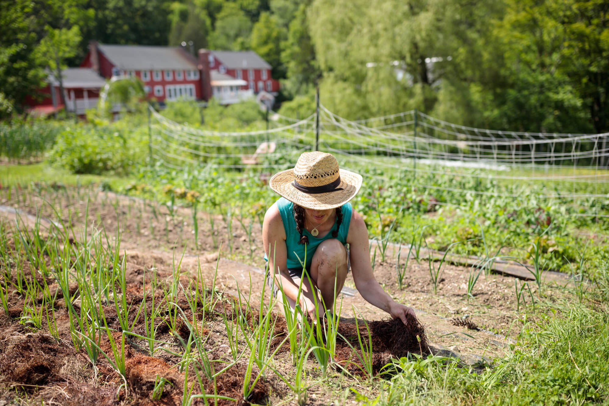 woman with straw hat planting fresh seedlings