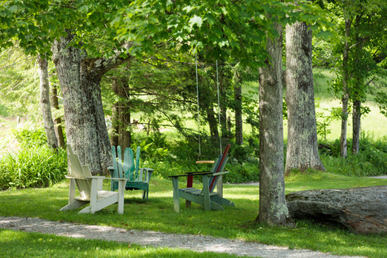 adirondack chairs in a circle amongst trees