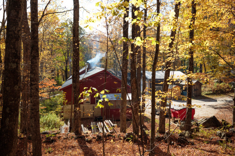 autumn forest with red house and other buildings