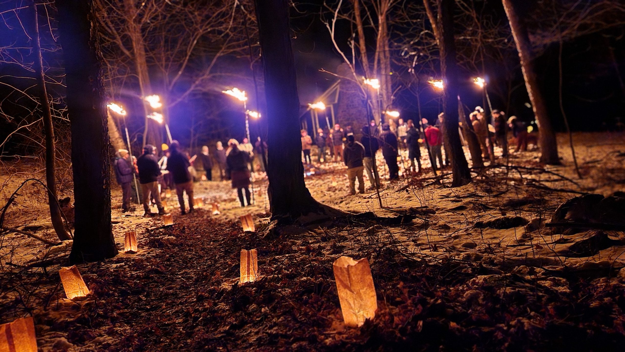 People with torches gather in the dark woods to sing songs and celebrate Yule