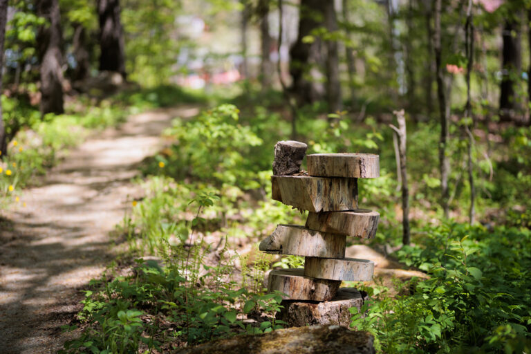 Slices of wood are stacked on top of each other in the middle of the woods, next to a path