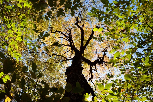 QA Director Lynn Pilcher