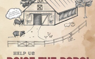 Spring Lake Ranch seeks $1.5MM to “Raise the Barn” for their farm-based mental health programming